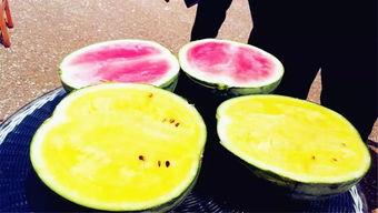 瓶子吃瓜爆料,瓶子吃瓜爆料，明星幕后故事大曝光